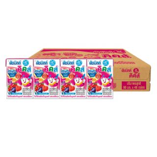 Dutch Mill Mixed Berry 48x90ml-Carton