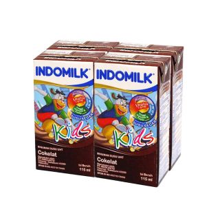 Indomilk Chocolate (6x190ml)