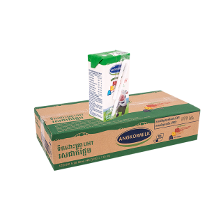 Angkor Milk 48x110ml-Carton